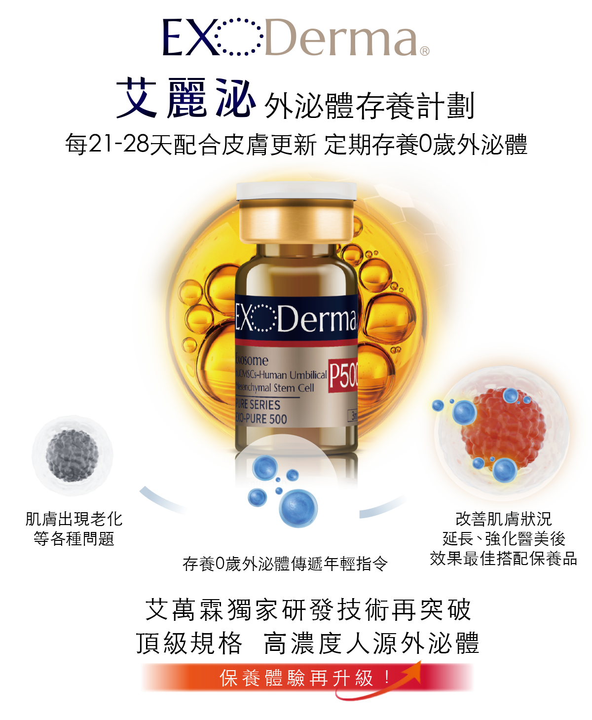 0歲外泌體 x DXP 媄皮思