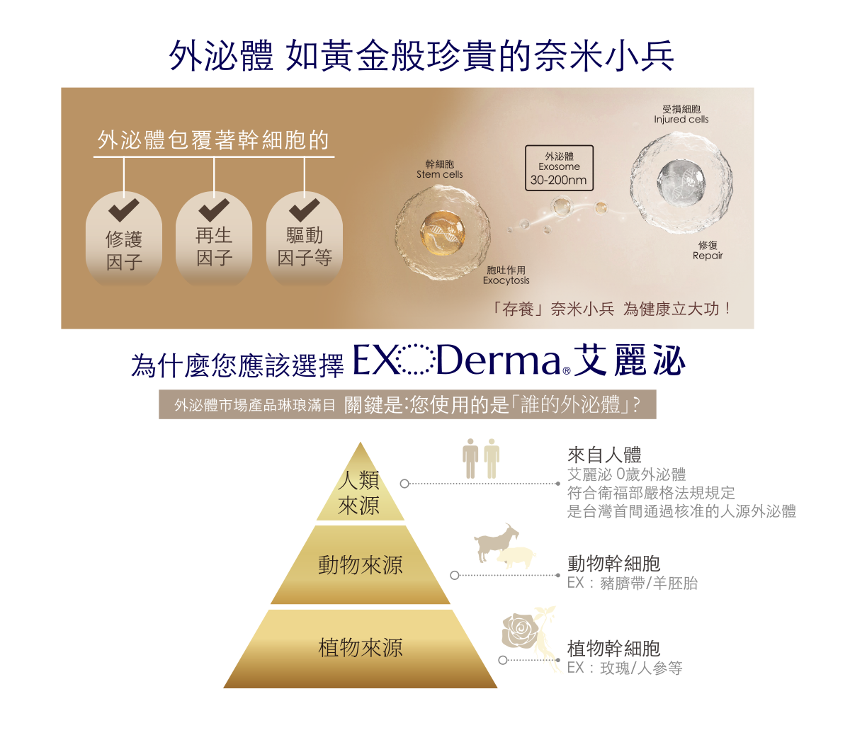 0歲外泌體 x DXP 媄皮思