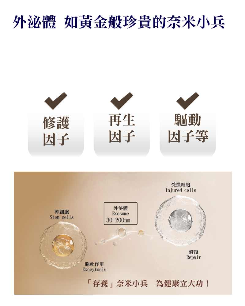 0歲外泌體 x DXP 媄皮思